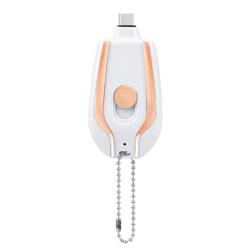 Fast Charging Backup Power Bank