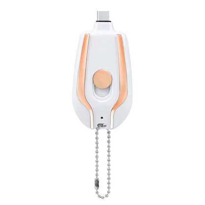 Fast Charging Backup Power Bank